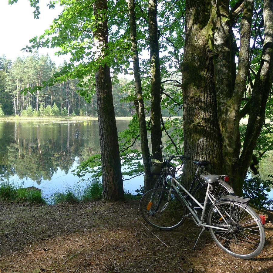 Un Gite Dans La Vallee Obersteinbach Eksteriør billede